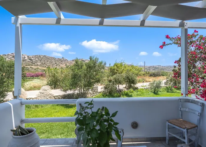 Depis Luxury Apartment Plaka (Naxos)